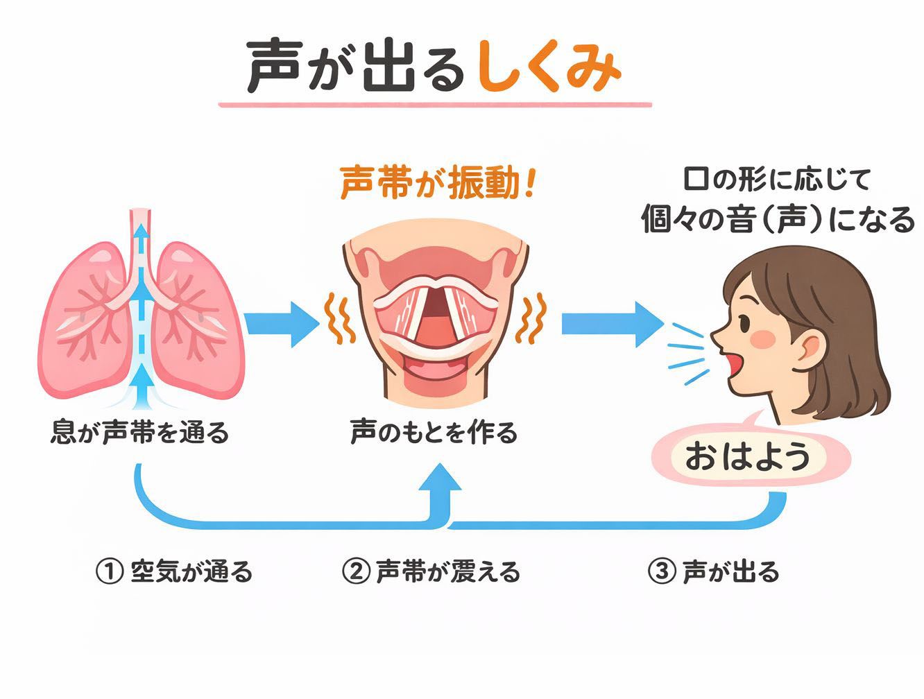 人工喉頭・電気式人工喉頭｜ゼルボックス補声器 声を失った方（出せ